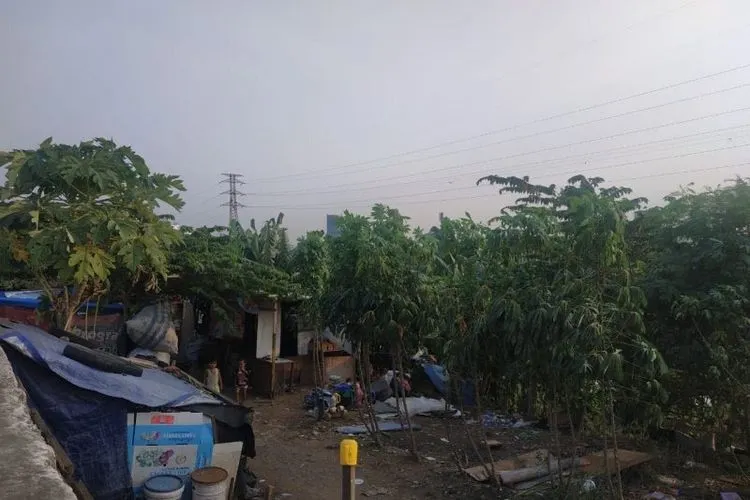 Kondisi gubuk liar di bantaran sungai Banjir Kanal Barat di Jati Pulo, Jakarta Barat, Rabu (3/7/2019) (ANTARA/Asep Firmansyah)