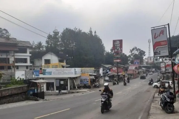 ilustrasi jalur Puncak Bogor/ suara.com