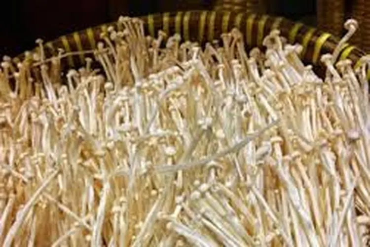 [Ilustrasi] Jamur enoki