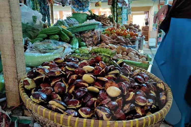 Harga jengkol naik 100 persen di Cirebon. (Ayocirebon/Erika Lia)