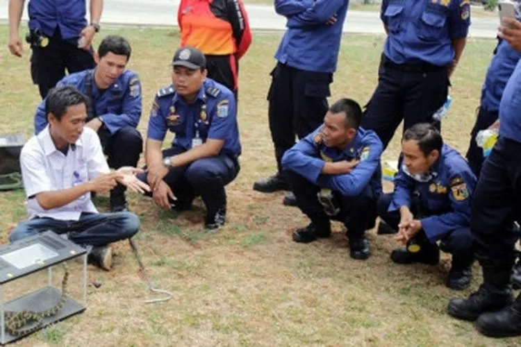 Pelatihan menangani hewan buas dan liar/Beritajakarta.id