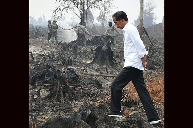 Presiden Jokowi saat meninjau  lokasi karhutla di Desa Merbau, Kecamatan Bunut, Kabupaten Pelalawan, Kota Pekanbaru, Selasa (17/9/2019)/Biro Pers, Media, dan Informasi Sekretariat Presiden