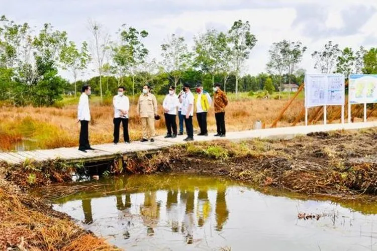 Presiden Jokowi dengan sejumlah menteri saat kunjungan kerja ke Kabupaten Kapuas di Kalsesl. [Biro Pers Media, Informasi Setpres]