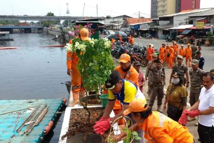 Penanaman tanaman penyerap polutan di sepanjang Kali Mookervaart/barat.jakarta.go.id