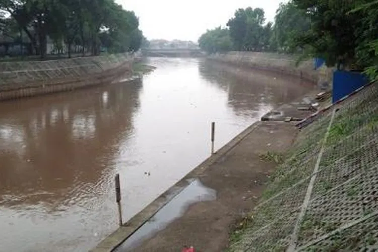 Kali Ciliwung di Bidara Cina/Suara.com