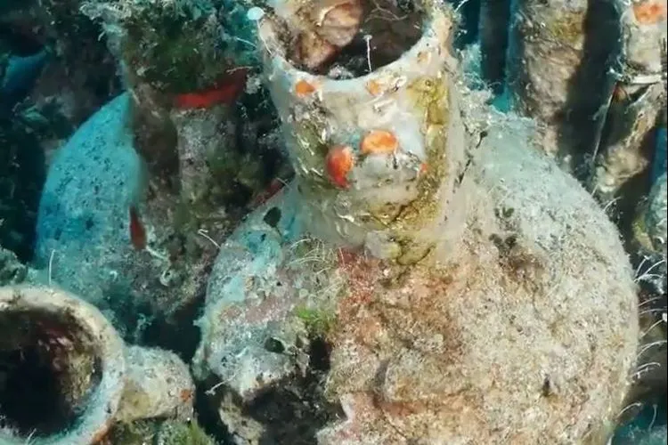 Amphorae, bejana Yunani yang berada di dalam bangkai kapal. (Kostas Katsioulis /Undersea