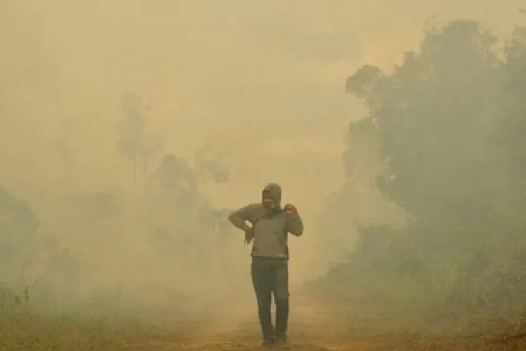 Foto: Antara News