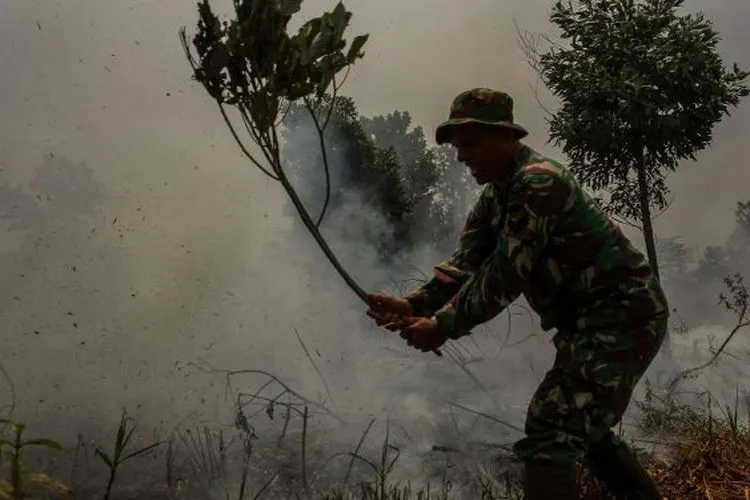 Foto: Antara News