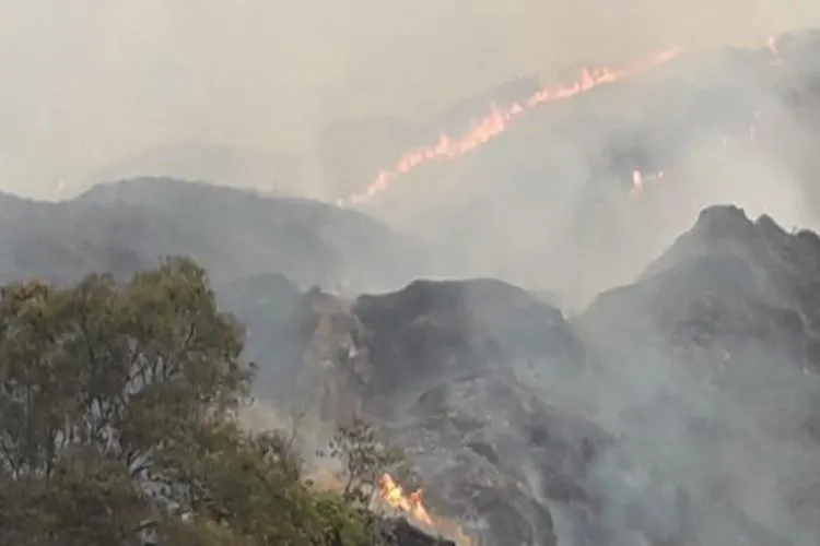 Kebakaran hutan dan lahan di Taman Nasional Gunung Ciremai (TNGC) Kabupaten Kuningan, Jawa Barat/Dok Tribunnews
