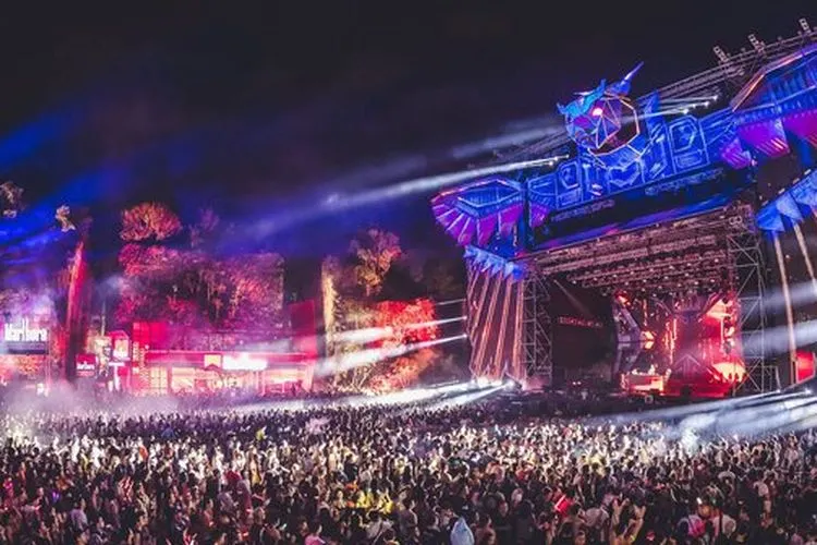 Konser DWP (kapanlagi.com)