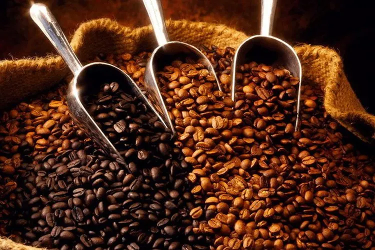 Biji kopi (Takefivecoffeebar)