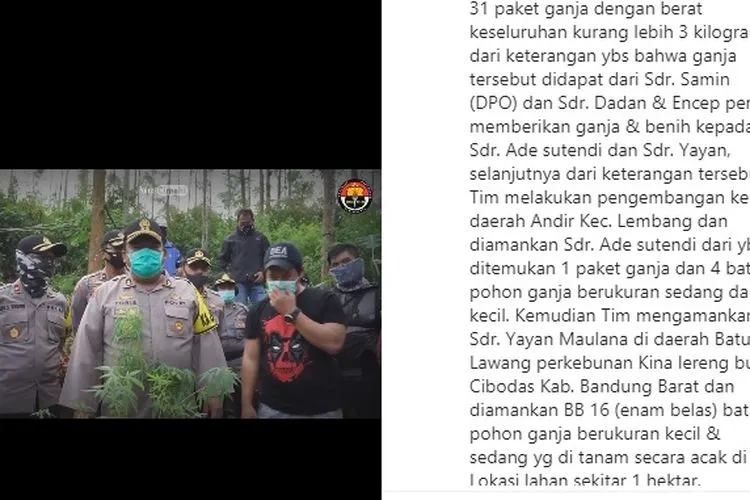 Penyisiran ladang ganja yang dilakukan Polres Cimahi/ instagram: @cimahipolres