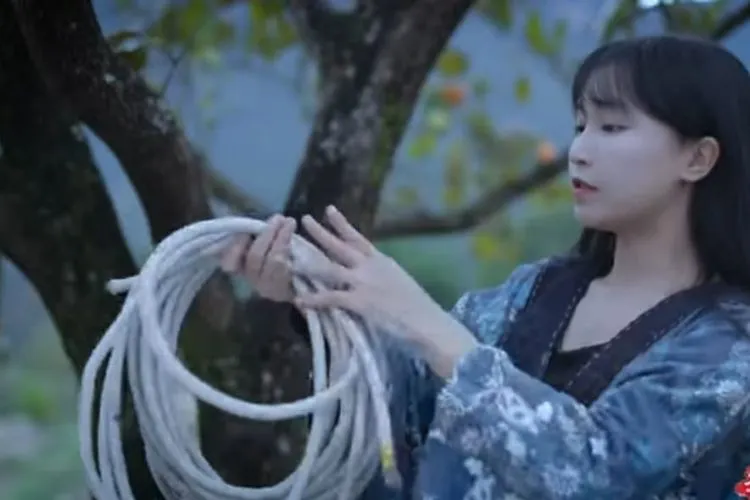 Li Ziqi (YouTube)
