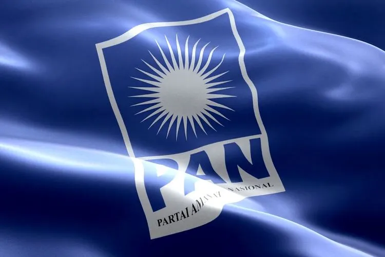 Logo PAN (dok)