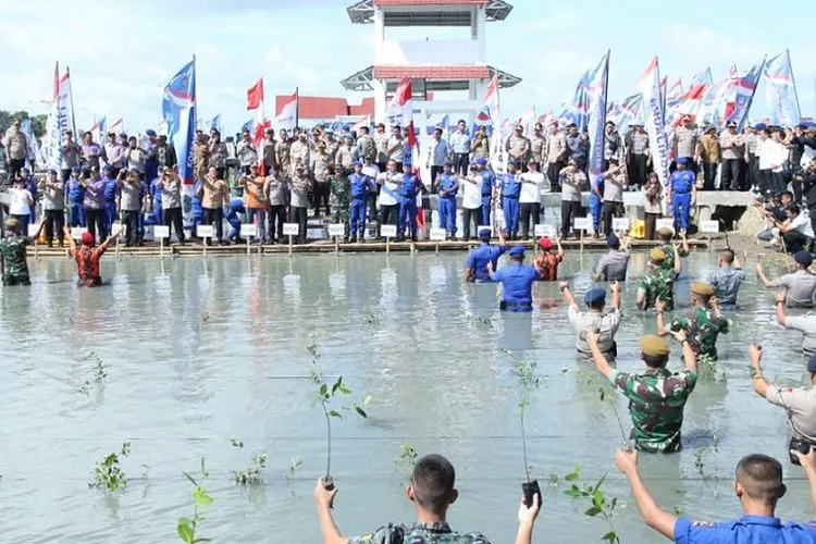 Panglima TNI Marsekal TNI (H.C.) Hadi Tjahjanto bersama Kapolri Jenderal Pol Idham Azis, Menteri KKP Edy Prabowo serta Bupati Tangerang melakukan penanaman mangrove di kawasan Wisata Bahari Ketapang, Kecamatan Mauk, Kabupaten Tangerang, Banten, Jumat (21/2/2020) (Kabidpenum Puspen TNI, Kolonel Sus Taibur Rahman