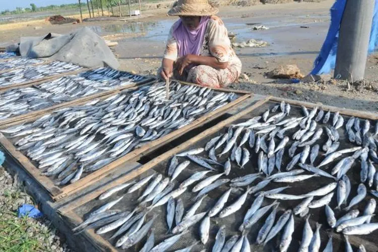 Ilustrasi masyarakat pesisir