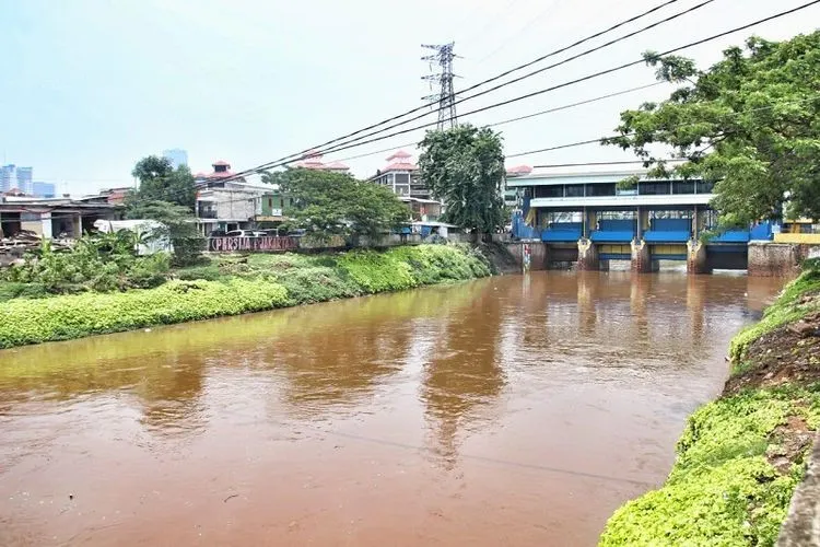 Sungai Ciliwung (Pemprov DKI Jakarta)