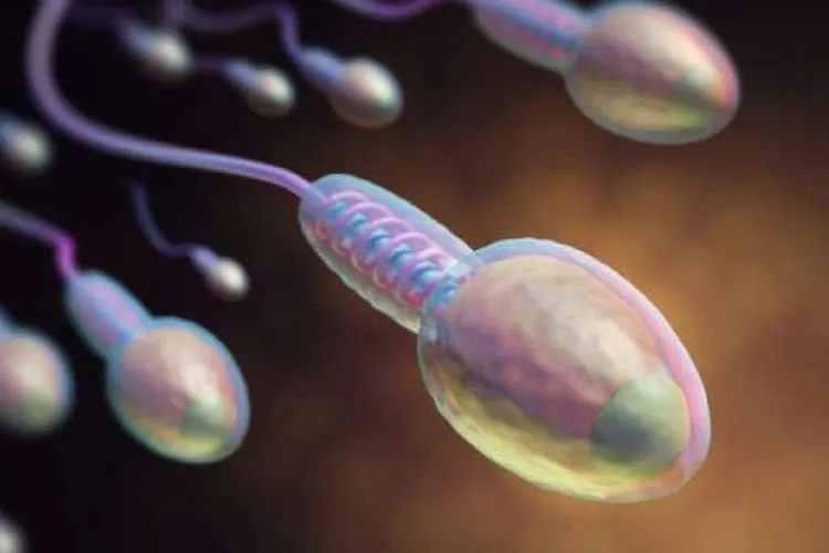 Ilustrasi sperma (Shutterstock)