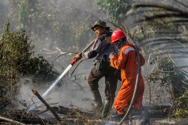 Pemadaman api akibat kebakaran hutan dan lahan di Jambi/Antara