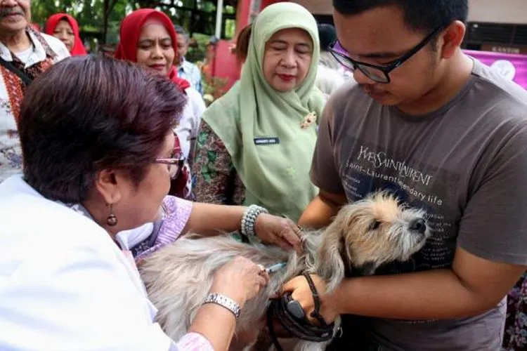 Sudin KPKP Jakpus memberikan vaksinasi hewan peliharaan/pusat.jakarta.go.id