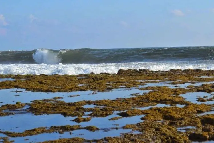 Pantai Minajaya, Kabupaten Sukabumi/Pantainesia