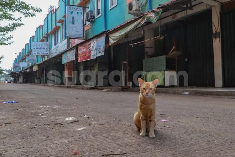 ilustrasi, Pasar Cileungsi ditutup/ Suara.com