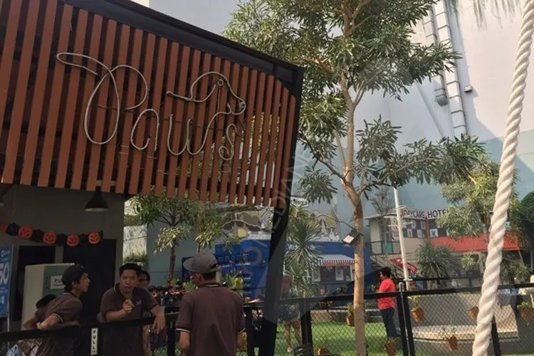 Paws taman bermain khusus anjing di Kelapa Gading/Ayojakarta.com