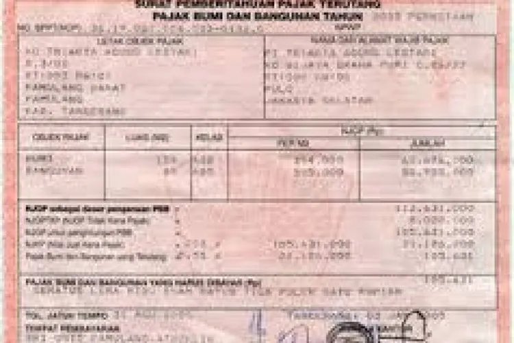 Ilustrasi PBB