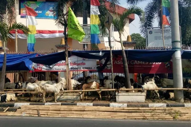 Pedagang Hewan di Trotorar (republika)