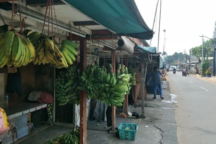 Pedagang Pisang di Jalan Raya Pisangan Lama (Kompas.com/Dean Pahrevi)