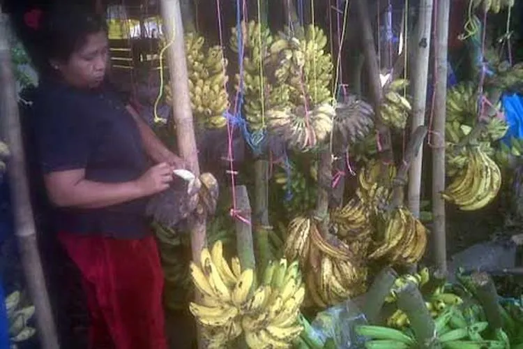Pedagang pisang (Poskotanews.com)