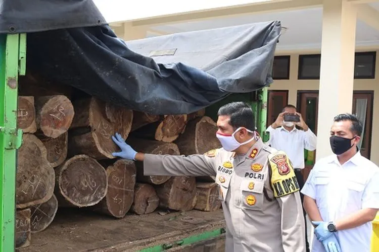 Kapolres Majalengka, AKBP Bismo Teguh Prakoso menunjukkan barang bukti berupa gelondongan kayu hasil pembalakan liar. (dok)