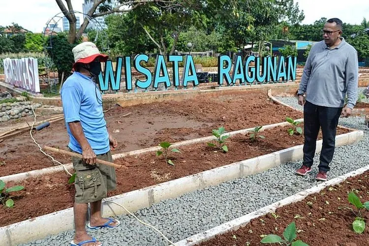 Kepala Suku Dinas Ketahanan Pangan, Kelautan dan Pertanian Jakarta Selatan, Hasudungan meninjau Argo Edukasi Wisata Ragunan/dok: Instagram @kominfotikjs