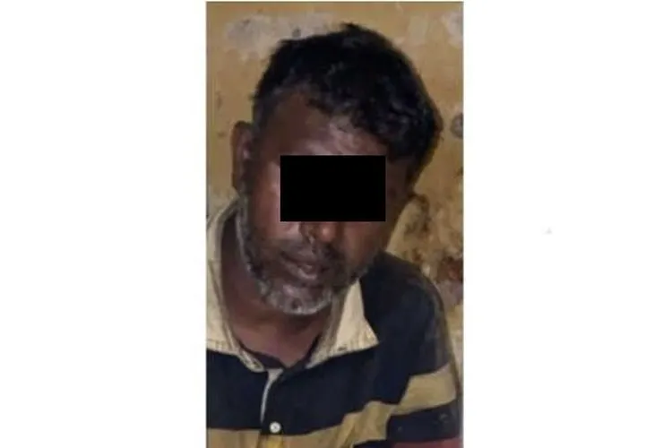 Pije, pembakar mobil Aplhard Via Vallen/ dok