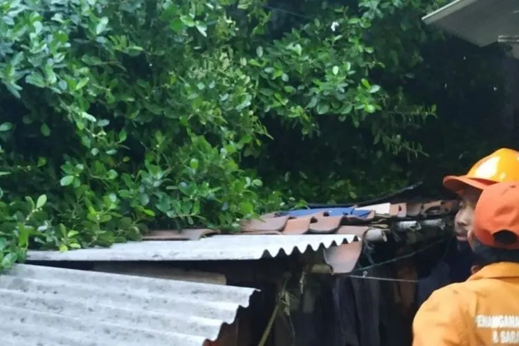 Pohon tumbang menimpa rumah warga di Cakung Barat, Jakarta Timur (Antara/Damkar Jaktim)