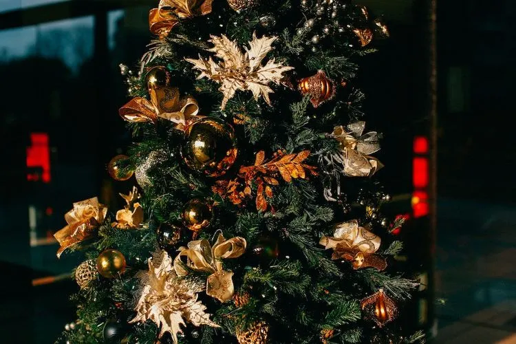 Pohon Natal (Shopback.id)