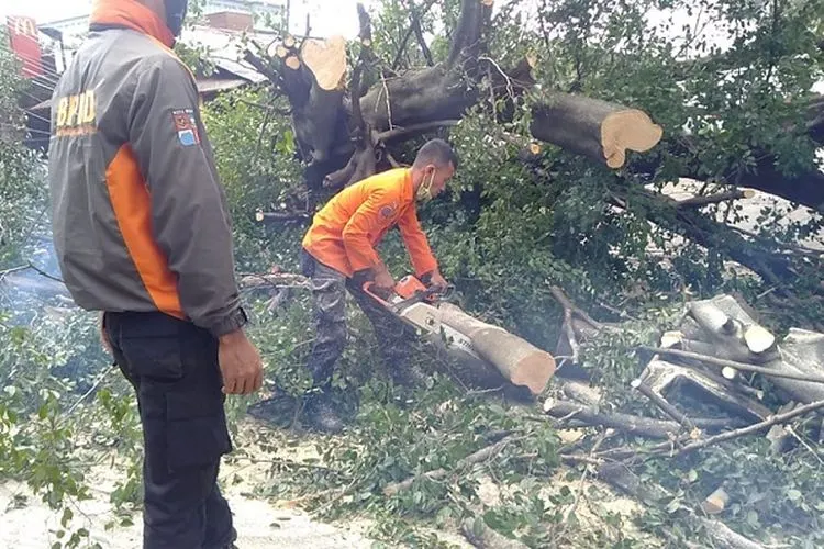 phon tumbang di Kota Bogor/ dok BPBD