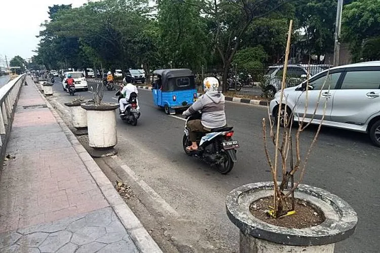 Sebanyak 10 pot bunga berada di sisi badan Jalan I Gusti Ngurah Rai, Kecamatan Cakung, Jakarta Timur, Senin (4/11/2019) dan dianggap memperparah kemacetan di kala jam sibuk/Antara-Andi Firdaus
