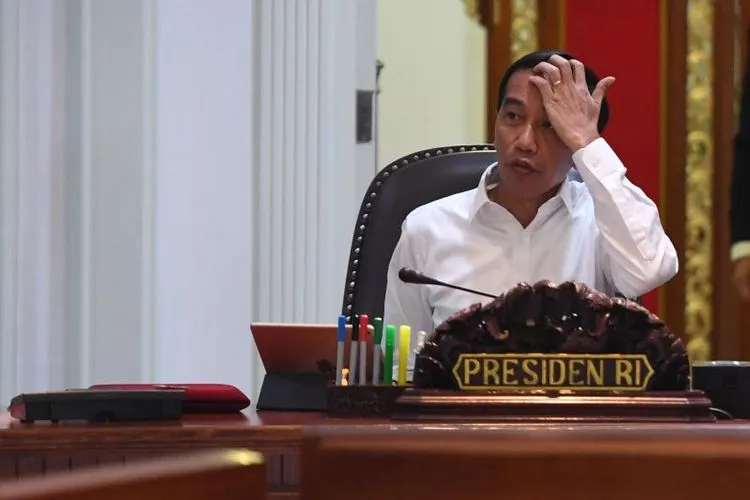 Presiden Jokowi (alinea.id)