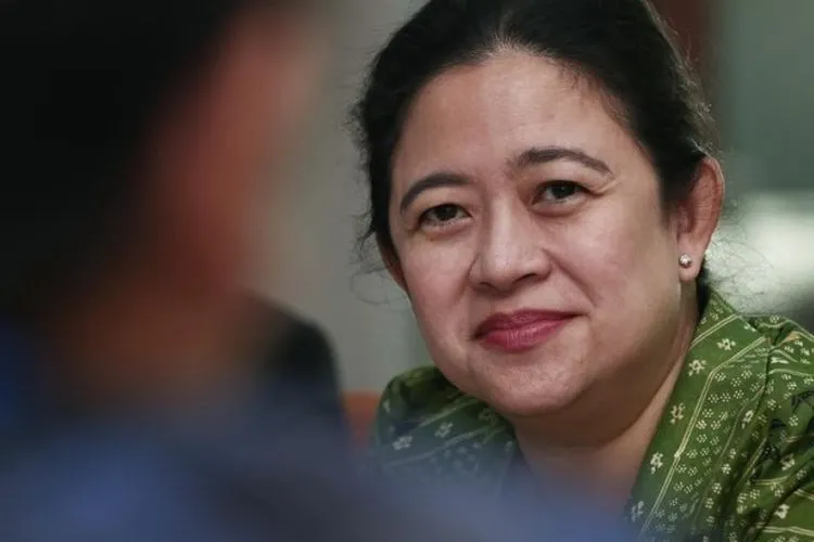 Ketua DPR RI Puan Maharani (Detik.com/Muhammad Ridho)