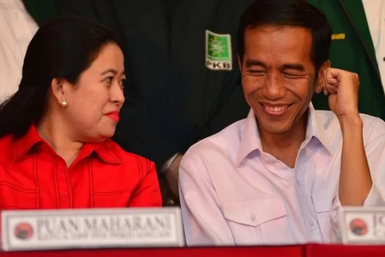 Puan Maharani dan Joko Widodo  (©2014 merdeka.com/muhammad luthfi rahman)