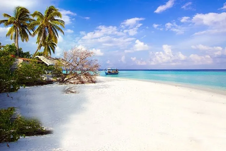 Pulau Pari di Kepulauan Seribu/Blibli.com