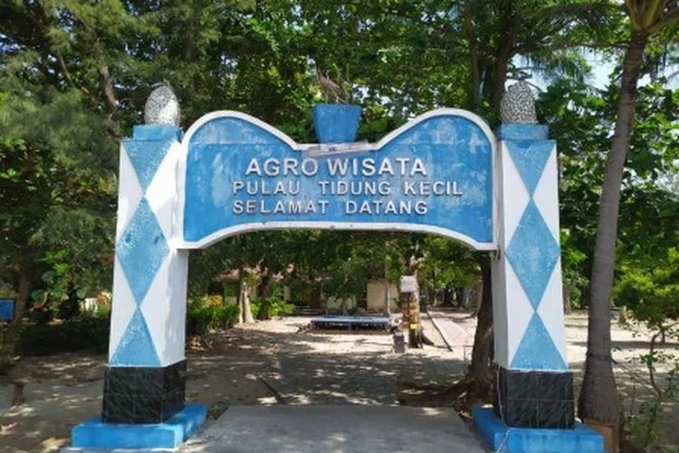 Pusat Budidaya dan Konservasi Laut (PBKL) / beritajakarta.id