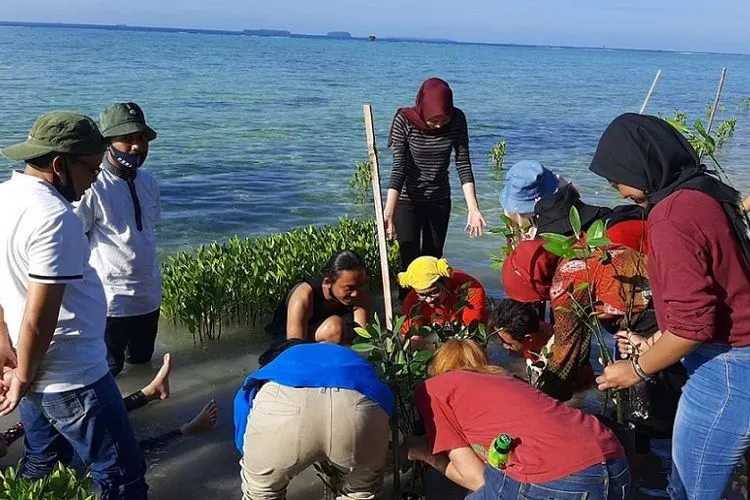 Kegiatan penanaman mangrove di Pulau Tidung Kecil/pulauseribu.jakarta.go.id