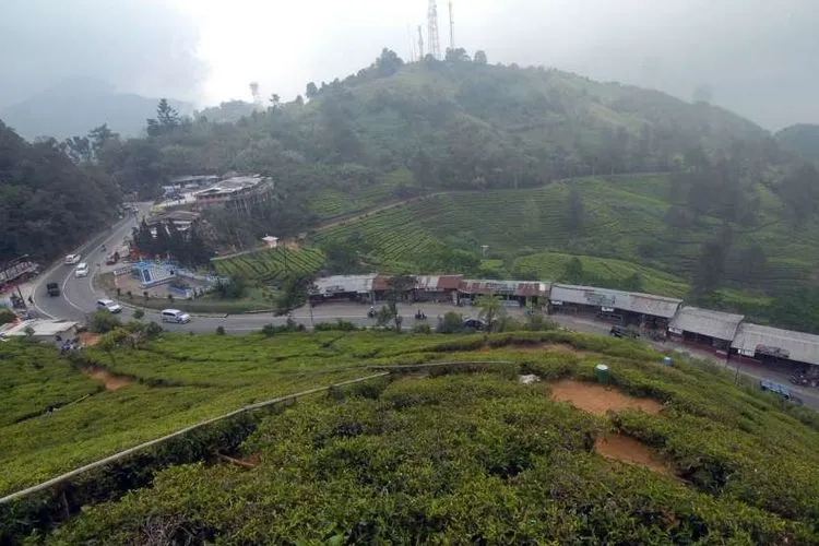 Suasana lalu lintas di Jalan Raya Puncak, Bogor, Jawa Barat. (Antara/Yulius Satria Wijaya)