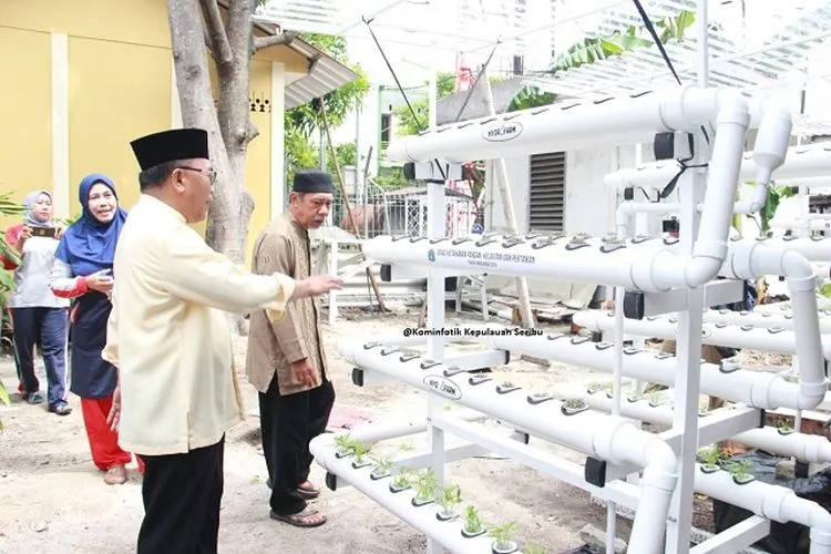 Rak hidroponik disalurkan ke enam kelurahan di Kepulauan Seribu (pulauseribu.jakarta.go.id)