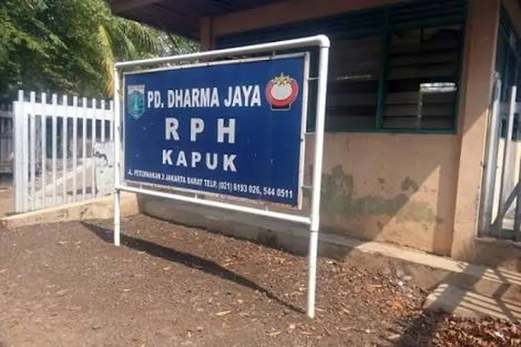Rumah Potong Hewan (RPH) Kapuk (Istimewa)