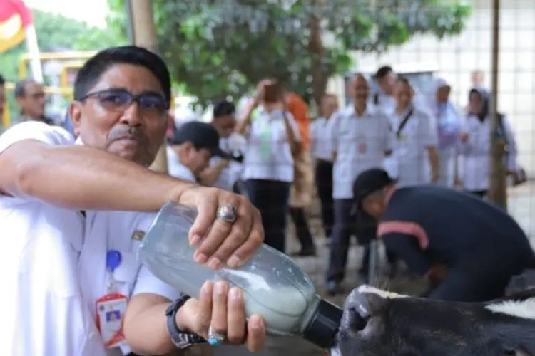 Instalasi Sentra UPH Susu Swadaya di Agrowisata Cibugary, Jaktim (timur.jakarta.go.id)