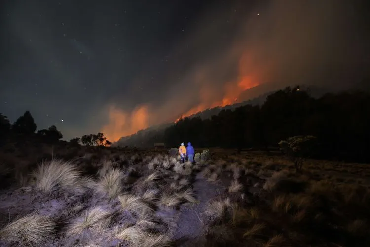 Kebakaran hutan di lereng Gunung Semeru/Kompas