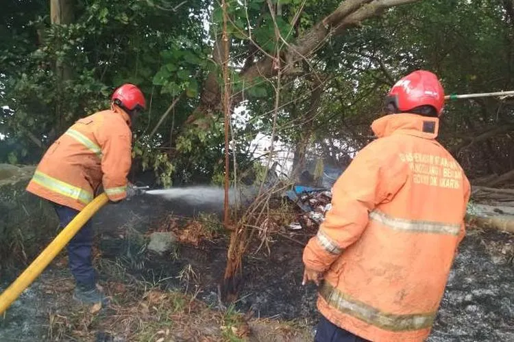 Petugas Sudin Gulkarmat Jakut dan Kepulauan Seribu memadamkan api yang membakar lahan alang-alang di Pulau Pari/pulauseribu.jakarta.go.id